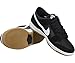 NIKE Men's SB Zoom Dunk Low Pro Skate Shoe