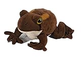 American Toad With Sound Soft Toy
