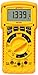 Amprobe HD160C Heavy Duty TRMS Multimeter with Temperature