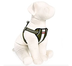 kong dog harness xl