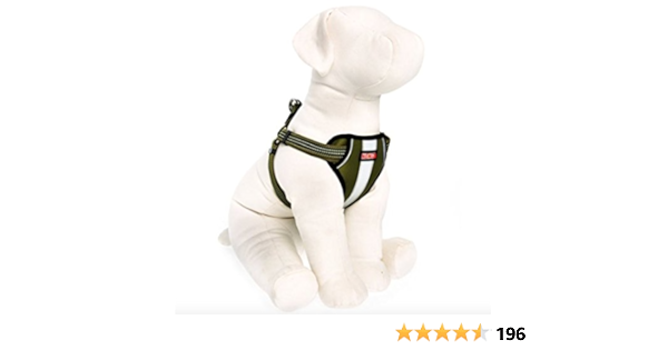 kong dog harnesses