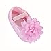 Hot Sale!Canserin Baby Girl Chiffon Flower Elastic Band Walking Shoes (12(6~12 Month), Pink)