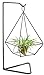 Mkono Air Plant Stand Holder Metal Airplant Tillandsia Hanger Tabletop Planter