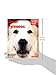 Great Pyrenees: Everything About Purchase, Care, Nutrition, Behavior, and Training (Complete Pet Owner's Manuals)