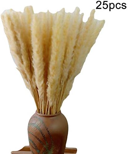blackbirdlee Natural Dried Flowers, Natural Dried Pampas Grass Reed Home Wedding Decor Photography Props 25Pcs/Set Cream Color