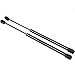(2) 15 Inch 30 lbs Gas Prop Lift Springs Rod Struts Heavy Duty Tool Box Lid Top RV Pair