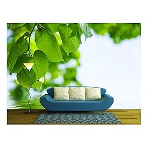 Nature Background - Lime and Water Relflexion - Removable Wall Mural | Self-Adhesive Large Wallpaper - 66x96 inches