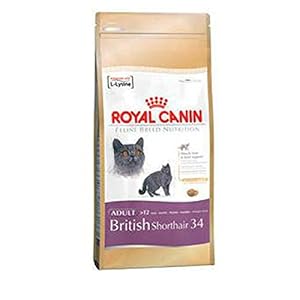 Royal Canin British Shortair Gato 10 kg
