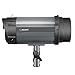 Neewer 300W 5600K Photo Studio Strobe Flash Light Monolight with Modeling Lamp, Aluminium Alloy Construction for Indoor Studio Portrait Photography