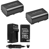UltraPro NP-FV50 Lithium-Ion Battery 2-Pack Bundle