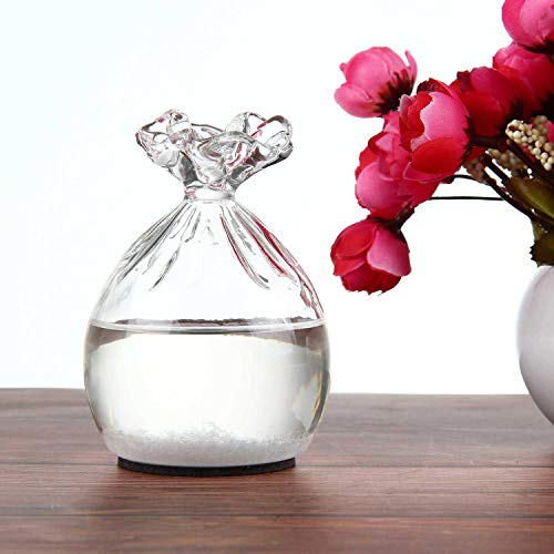 Teepao Weather Forecast Bottle, Storm Glass Water Drops Weather Forecast Bottle Barometer Creative Stylish Weather Station Forecaster Storm Glass Weather Predictor Crafts Home Decoration