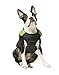 Gooby Padded Vest Dog Jacket - Green, Medium - Warm Zip Up Vest Fleece Jacket with Dual D Ring Leash - Winter Water Resistant Sweater - Clothes for Small and Dogs