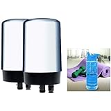 Brita Tap Water System Replacement Filters for Faucets (2 Count, Chrome) with Flip-Top Water Bottle