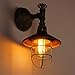 ONEPRE Industrial Wall Lights Steampunk Vintage eidson Wall Lamp Machine Age Water Pipe Wall Sconce with Metal Cage Lamp Shade