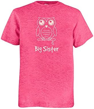 Girls Owl Big Sister Shirt Youth M Vintage Blend Heather Pink