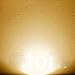 Vintage Edison Led Bulb, Dimmable 4W ST64 Antique Led Bulb Squirrel Cage Filament Light for Decorate Home, E26, 2200K, Clear Glass