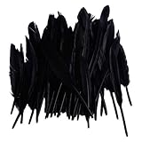 50pcs Home Decor Black Goose Feather