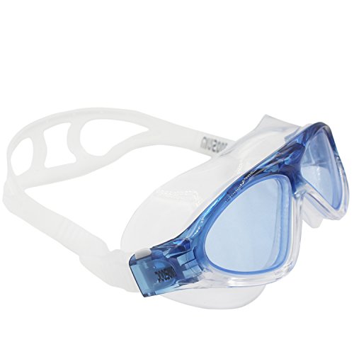 poqswim goggles