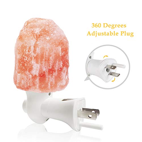 WAYNEWON Natural Himalayan Salt Lamp, Plug in Hand Carved Crystal Night