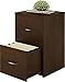 Ameriwood Home Core 2 Drawer File Cabinet, Espresso