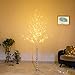 Bolylight Birch Tree 6ft 96L LED Lighted Brich Tree for Christmas Decorations for Home Bedroom Party Wedding Office Indoor and Outdoor Warm White