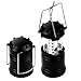 Begana Portable Camping Lantern Flashlights with 30 LED Bulbs - Retractable & Lightweight & Water Resistant Camping Light, Great for Hiking & Camping & Emergencies & Travel, Set of 2, Black