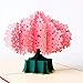 Paper Spiritz Cherry Blossom Pop Up Card, Anniversary Card, 3D Greeting Card, Pop Up Card for Wife Mom Girlfriend, Pop Up Birthday Card, Mother’s Day Card, Gift Card, All Occasion