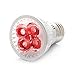 RubyLux 2nd Generation All Red LED Bulb Size Small