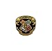 J&C Family Owned Harry Potter Hogwarts House Crest 3.5" Embroidered Sew/Iron-on Patch/Applique