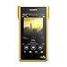 SONY NW-WM1Z  Premium Signature Series Hi-Res Walkman (International version/Seller Warranty)