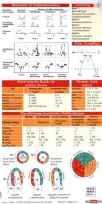 Echokardiographie Pocketcard 2er Set Unknown 9783898620512 Amazon Com Books