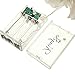 KINGSO 20 LED Battery Operated Rose Flower String Lights Wedding Garden Christmas Decor (White)