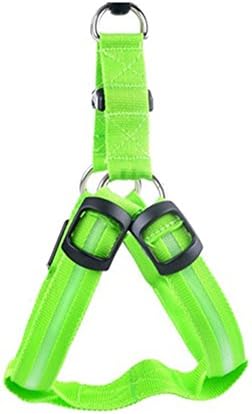 ClothingTalks Pets LED Puppy Dog Safety Leash Belt With 3 LED Light Modes Pet Leash Harness Flashing Light- Safety First(Large, Green)