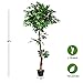 Goplus 5.5FT Ficus Silk Leaf Artificial Tree, Potted Fake Tree w/Green Leaves and Natural Trunk, Maintenance Free, Tall Faux Plant for Indoor Outdoor Decoration