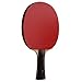 ADIPIN Master Carbon Table Tennis Racket | Ping Pong Paddle | 5-Ply Wooden Blade with Rubber and Sponge