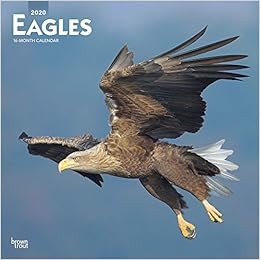 Eagles Adler 2020 16 Monatskalender Original Browntrout Kalender Mehrsprachig Kalender Wall Kalender Amazon De Browntrout Publisher Bucher