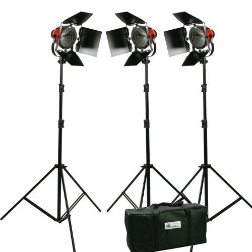Focusable Spot and Flood Light 2400 watt lights Constant Continuous Video Studio Film 3 Barndoor kit HR-3