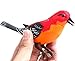 Liberty Imports Singing and Chirping Bird Toy in Cage – Realistic Sounds and Movements – Sound Activatedthumb 2