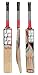 SS Yuvi 20/20 Cricket Bat Kashmir Willow by Sunridges