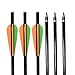 SHENG-RUI Crossbow Bolts Arrows 14