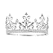 SSNUOY Adjustable Full Round Imperial Medieval Tiara Fleur De Lis King Crown Silver Finish