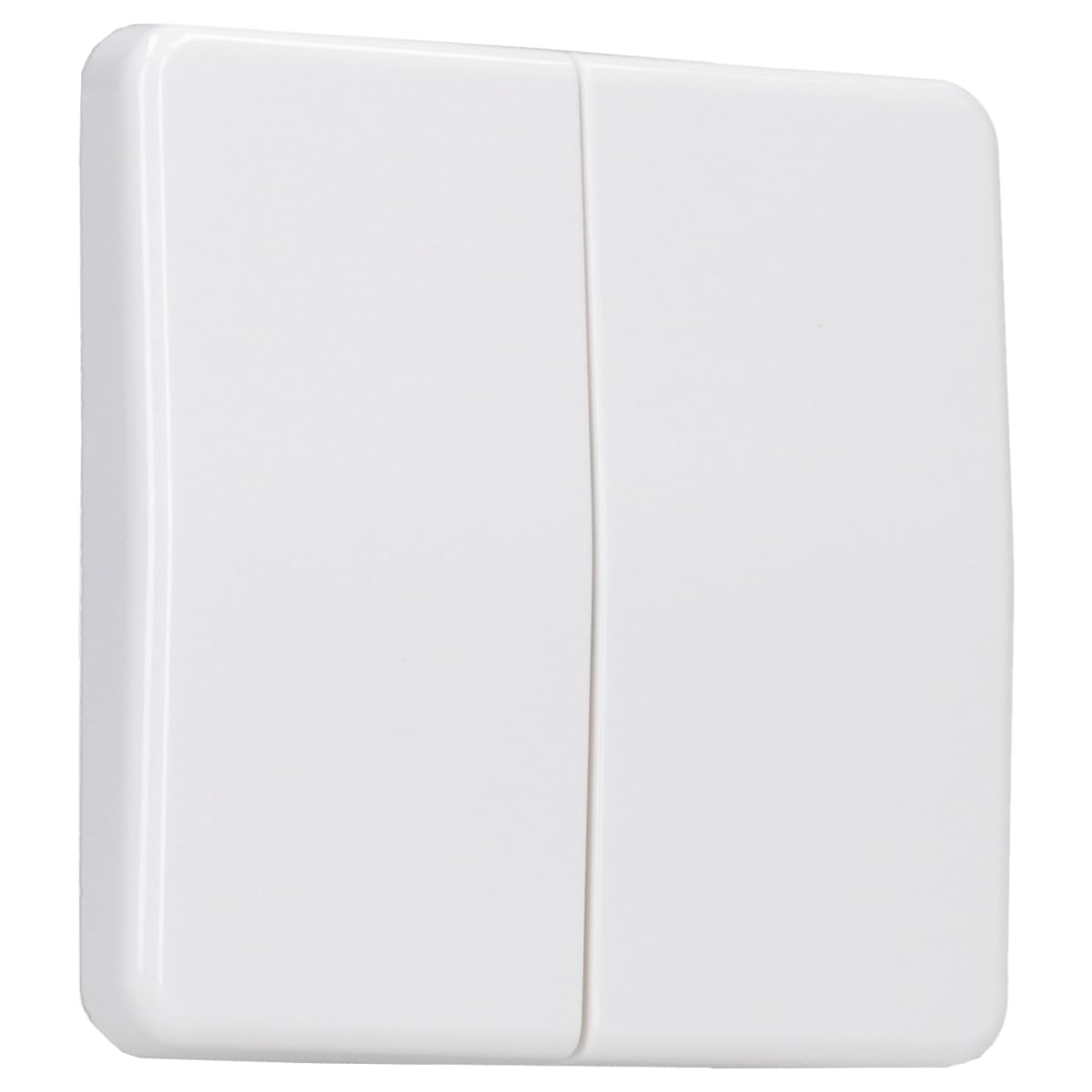 Jung CD595WW Rocker for series switches