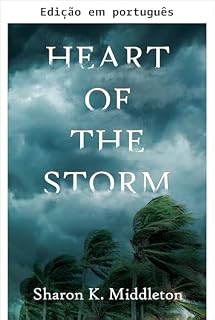 Livro Coração da tempestade (Um mistério de McCarron's Corner Livro 1)