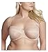 Dana Balcony Strapless Bra