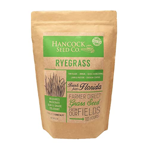 Hancock Seed Co. Ryegrass Seeds 50 lbs. Pricepulse