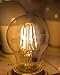 Hyperikon A19 LED Vintage Filament Bulb, Dimmable, 5W (40W Equivalent), 480 lumen, 2300K (Amber Glow), Omnidirectional, Medium Base (E26), IC Driver, CRI 80+, 120v, UL-Listed - (Pack of 6)