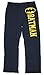 DC Comics Batman Dark Knight Logo Lounge Sleep Pants (Large) Charcoal