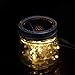 6 Pack Solar Jar Lids for Mason Jars with 20 LED Fairy String Lights(Jars & Handles Not Included), Fit for Patio, Yard, Garden, Party, Wedding, Christmas Decor (6, Warm White-20LED)