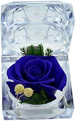 Butylee Handmade Gift Preserved Fresh Flower, Never Withered Rose with Crystal Ring Box-Purple