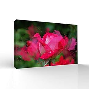 Canvas Wall Art Beautiful Flowers Pictures Home Wall Decorations for Bedroom Living Room Paintings Canvas Prints Framed - 12x18 inches